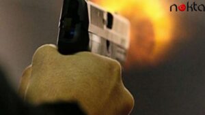 Tartıştığı akrabasının hayvanlarını vurdu