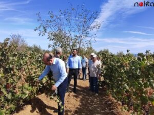 Tekirdağ Tarım ve Orman Müdürü Öcal bağ bozumuna katıldı