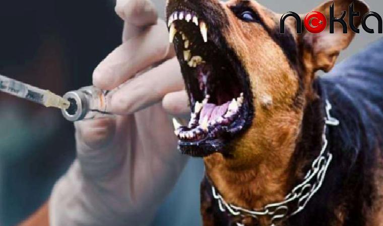 TTB’den ‘kuduz aşısı’ tepkisi: 138 yıl olmasına rağmen ölümler kabul edilemez