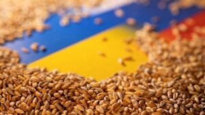 Ukrayna; Polonya, Slovakya ve Macaristan’a dava açtı