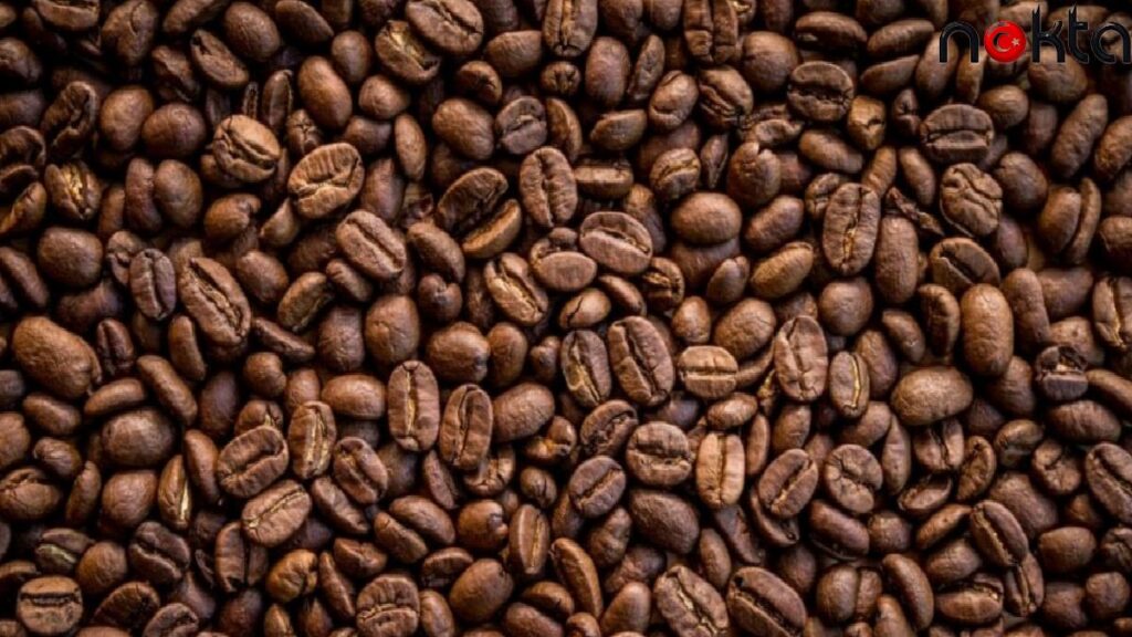 Üretici itiraz ediyor: ‘BAE’ye vergi kıyağı, yerli üreticiyi iflasa sürükleyecek’