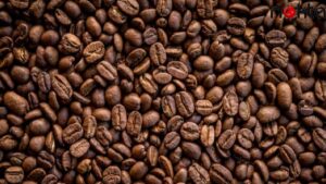 Üretici itiraz ediyor: ‘BAE’ye vergi kıyağı, yerli üreticiyi iflasa sürükleyecek’