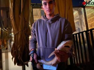 Üsküdar’da bir gencin oltasına yavru köpek balığı takıldı