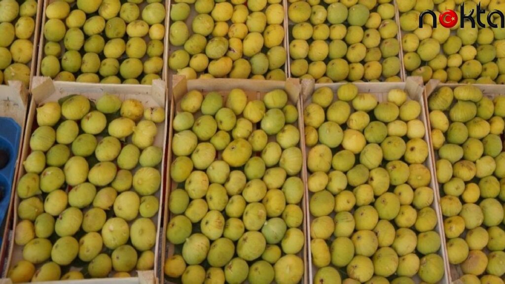 Vatandaş incir diyarında incire hasret