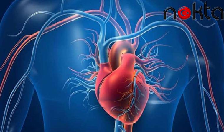 Yerli üretim ‘yapay damar’ hayat kurtardı