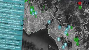 10 bin futbol sahası büyüklüğünde: İBB skandal rantı açıkladı