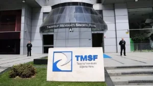 TMSF 2 şirketi satışa çıkardı!