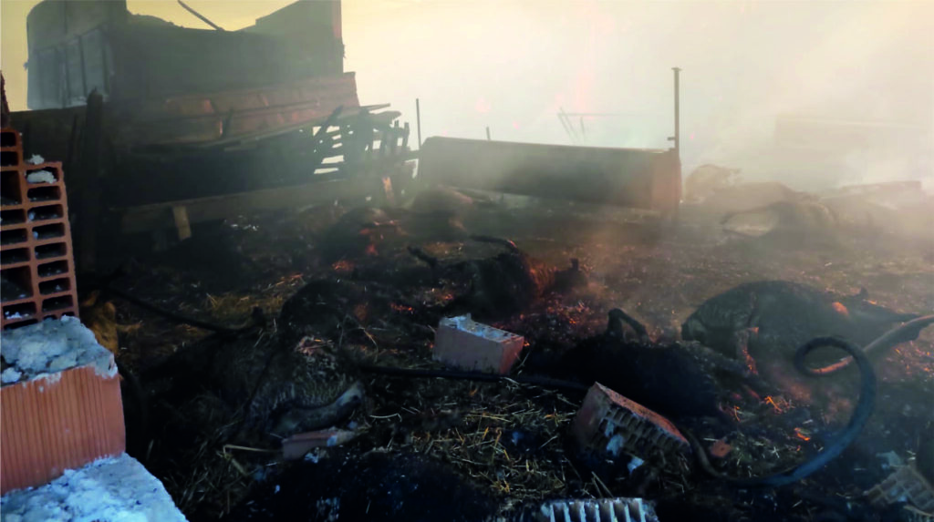 Karacabey’de ağıl yangınında 44 küçükbaş hayvan telef oldu