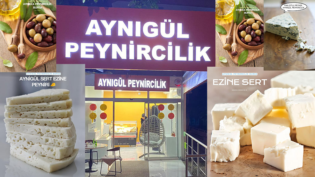 Aynıgül Peynircilik Genç Girişimci Firdevs Aynıgül ile Bursa’da