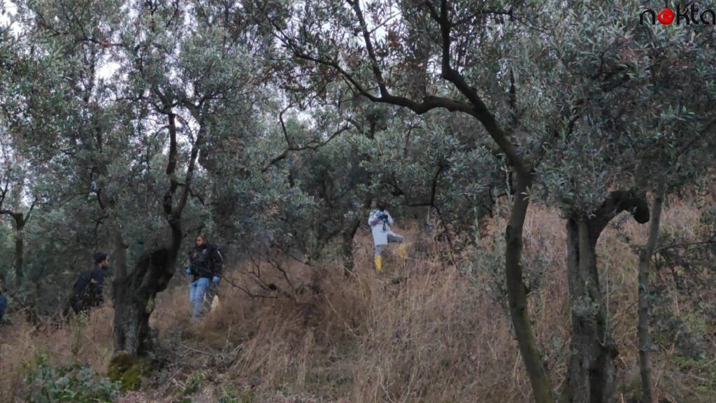 Bursa’da 47 gündür aranan genç kadının cesedi zeytinlikte bulundu