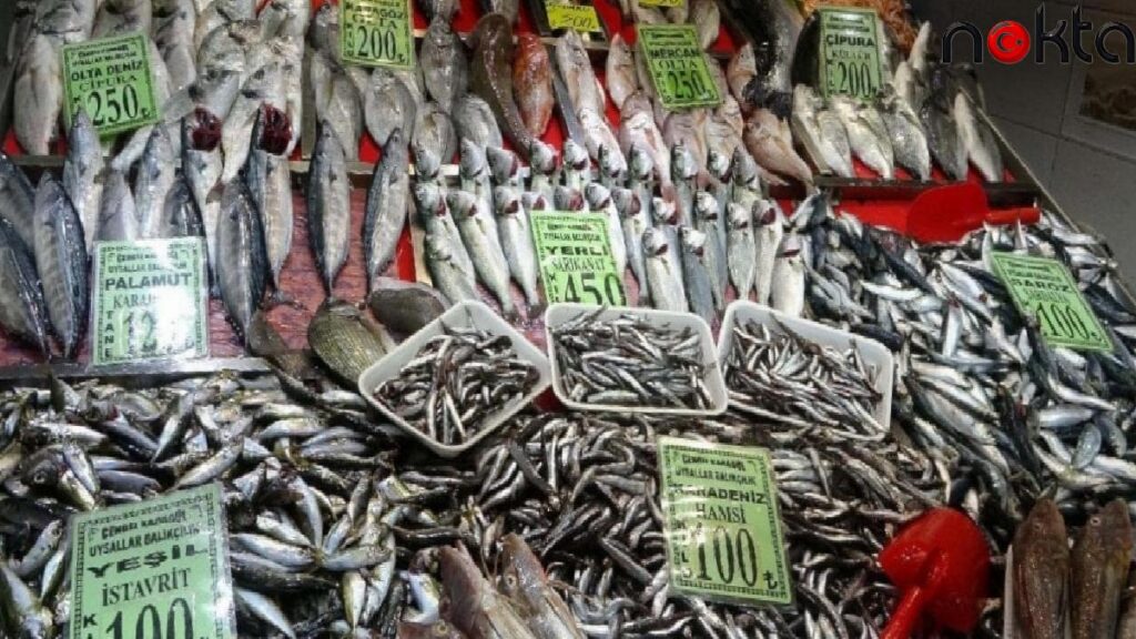 Deniz sıcaklığı balıkçılığı vurdu: Bu kış hamsi nasıl olacak?