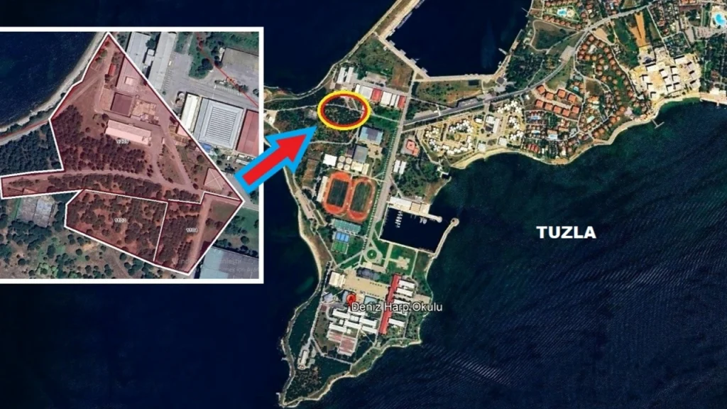 Harp Okulu’ndaki ağaçlar için ferman çıktı: Bir havuz için 94 ağaç kesilecek