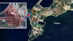 Harp Okulu’ndaki ağaçlar için ferman çıktı: Bir havuz için 94 ağaç kesilecek