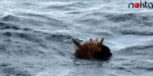 Karadeniz’de Patlama! Türk Bayraklı Gemi Mayına Çarptı