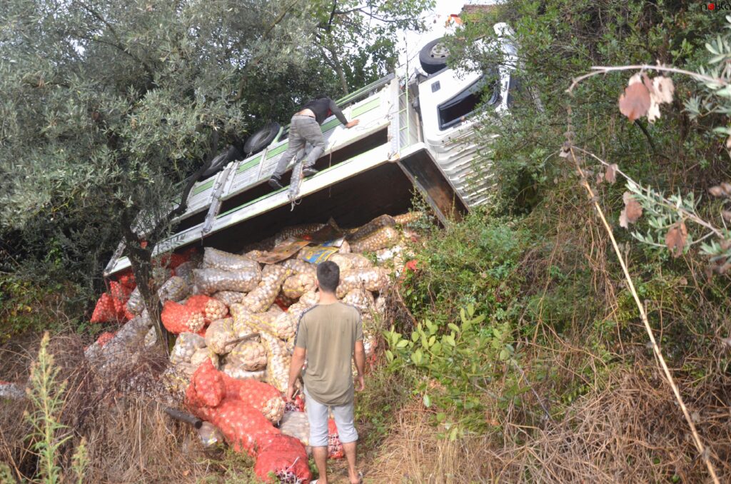 Kocaeli’de şarampole devrilen kamyonun sürücüsü yaralandı