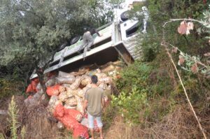 Kocaeli’de şarampole devrilen kamyonun sürücüsü yaralandı