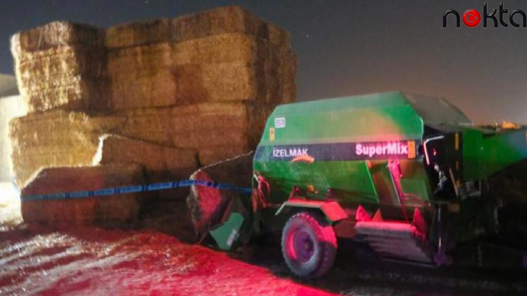 Saman balyası çiftçiye ölüm getirdi