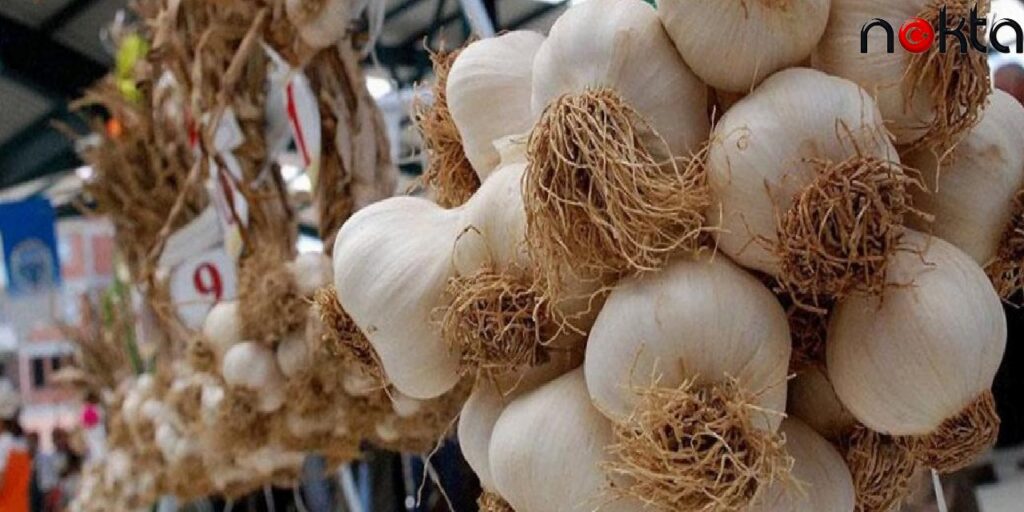 Taşköprü Sarımsağı Mı Çin Sarımsağı Mı? Araştırma Sonuçları Ortaya Çıkardı, Faydaları Saymakla Bitmedi!