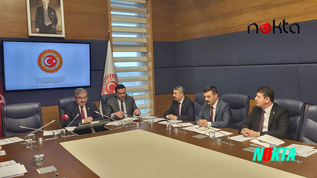 Türkoğlu, Tutuklu Gazetecileri Meclis Gündemine Taşıdı