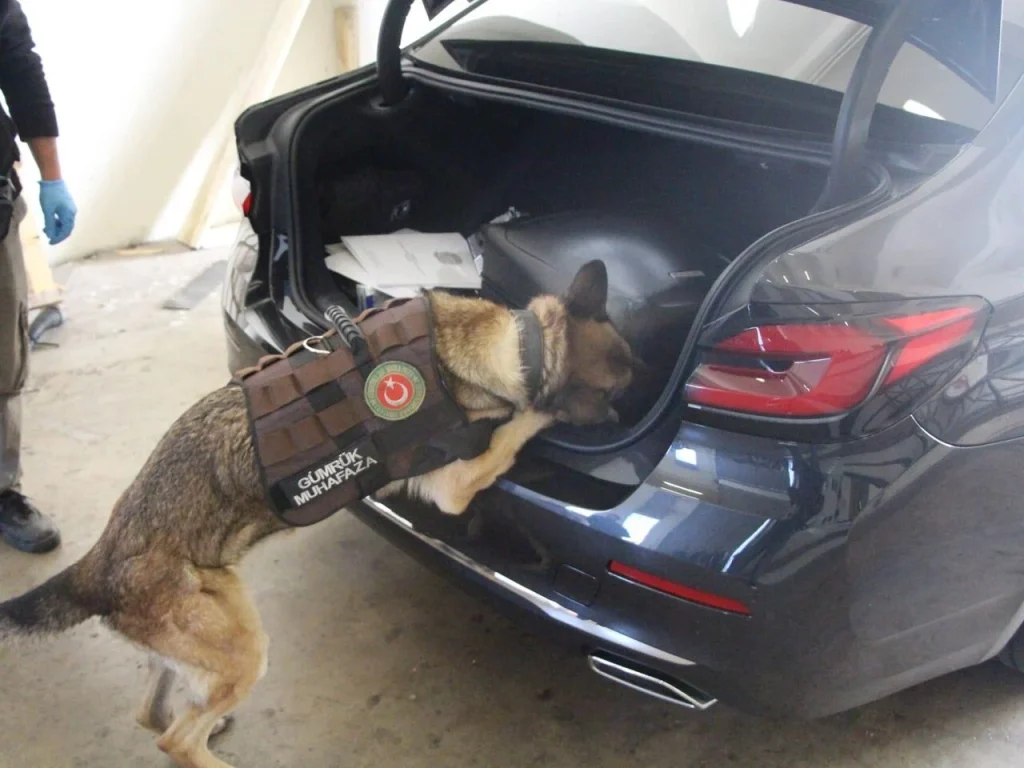 Büyükelçilik Aracında 58 Kilo Kokainle Yakalandılar!