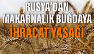 Rusya’dan makarnalık buğdaya ihracat yasağı