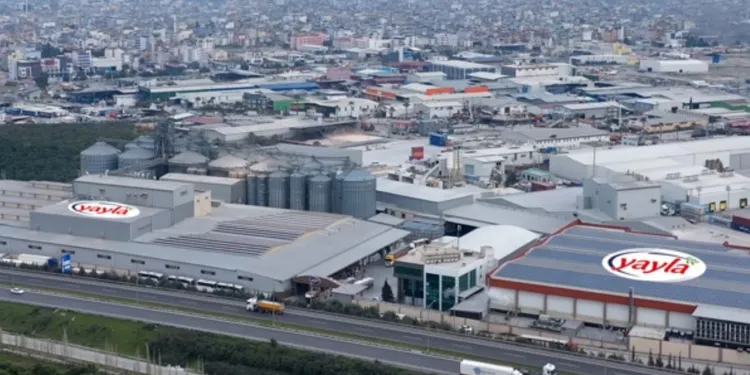 Yayla Gıda da ne oldu?