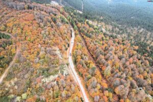 Balıkesir’in 1764 rakımlı Ulus Dağı’ndaki sonbahar renkleri dronla görüntülendi