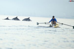 Bursa’da antrenman yapan kürek takımına yunuslar eşlik etti