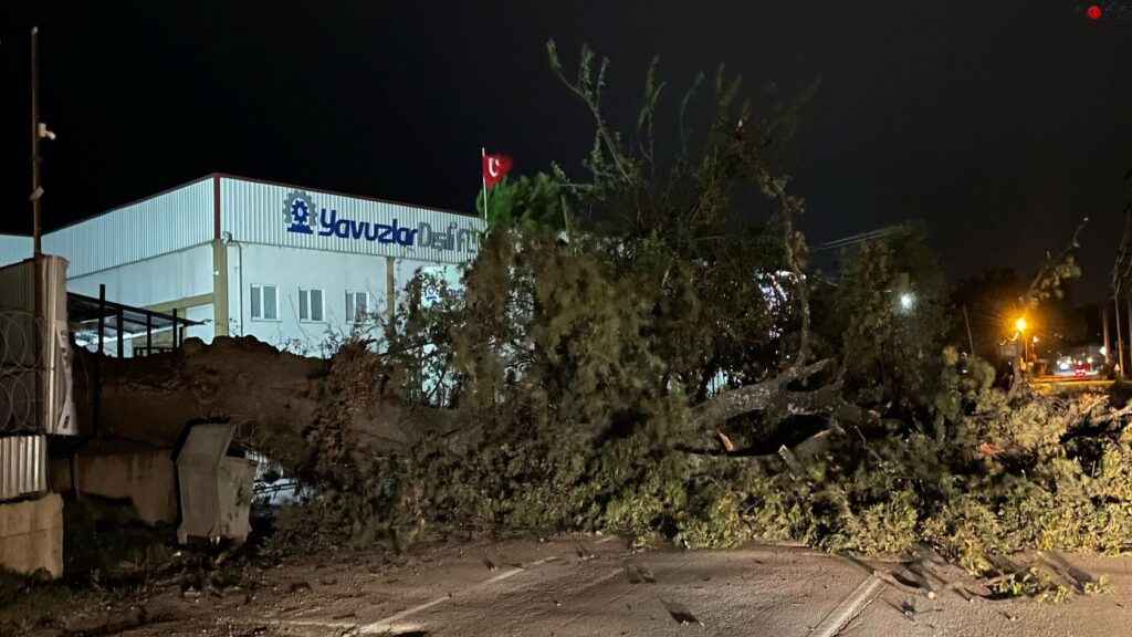 Bursa’da kuvvetli lodos yaşamı olumsuz etkiledi