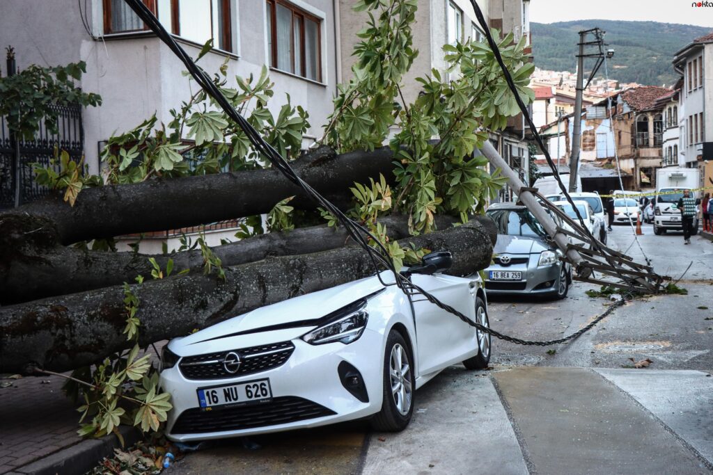 Bursa’da lodos nedeniyle ağaç ve elektrik direği araçların üzerine devrildi