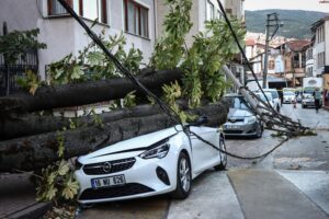 Bursa’da lodos nedeniyle ağaç ve elektrik direği araçların üzerine devrildi