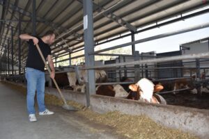 Bursalı 9 kasap kuzen, devlet desteğiyle besi çiftliği kurdu