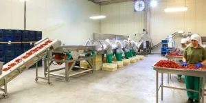 Tarımdan umudunu kesti mi? Gıda şirketi villa yapacak!