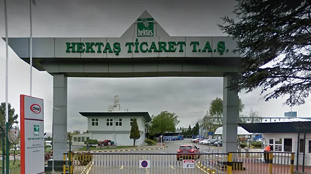 Rekor kayıp yüzde 62 ile Hektaş’da