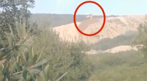 Bursa’da Bursa Beton’dan çevre katliamı!