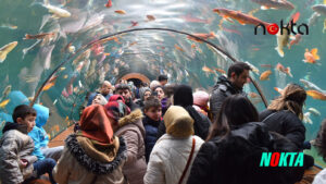 Bursa Yıldırım'da 'Eğlence' zamanı