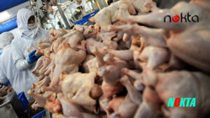 Erpiliç, Şenpiliç, Banvit ve Lezita 10 Beyaz Et Devlerine Soruşturma!