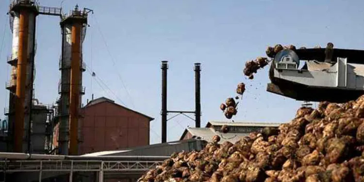 Bor Şeker halka arzına en az ilgiyi çalışanları ve çiftçiler gösterdi