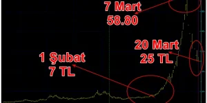 Parasını bu hisseye yatıranların 100 lirası 7 günde 43 liraya düştü!