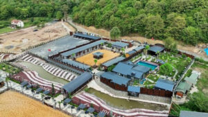 Ormandaki kaçak çiftliğe göz yumuldu