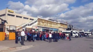 CMS patronu işçi kıyımına başladı