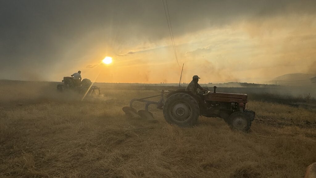 10 dönüm buğday ekili alan kül oldu
