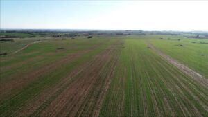 100 bin metrekarelik tarım arazisi, Erdoğan’a yakın ailenin şirketi için imara açıldı