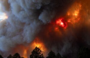ABD orman yangınlarıyla boğuşuyor