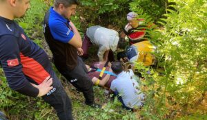 Arılardan kaçarken yamaçtan yuvarlandı