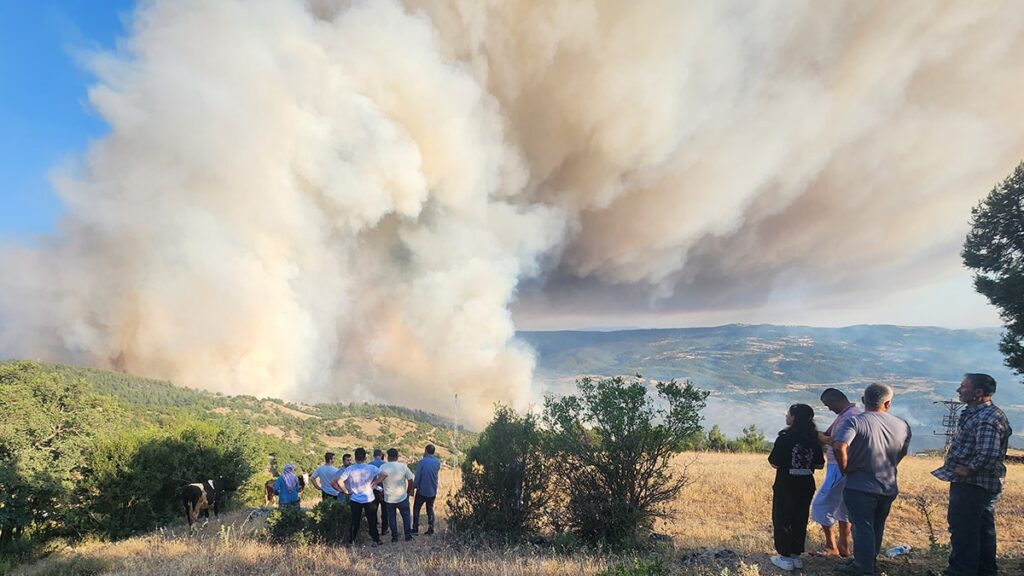 Bursa-Balıkesir il sınırında orman yangını