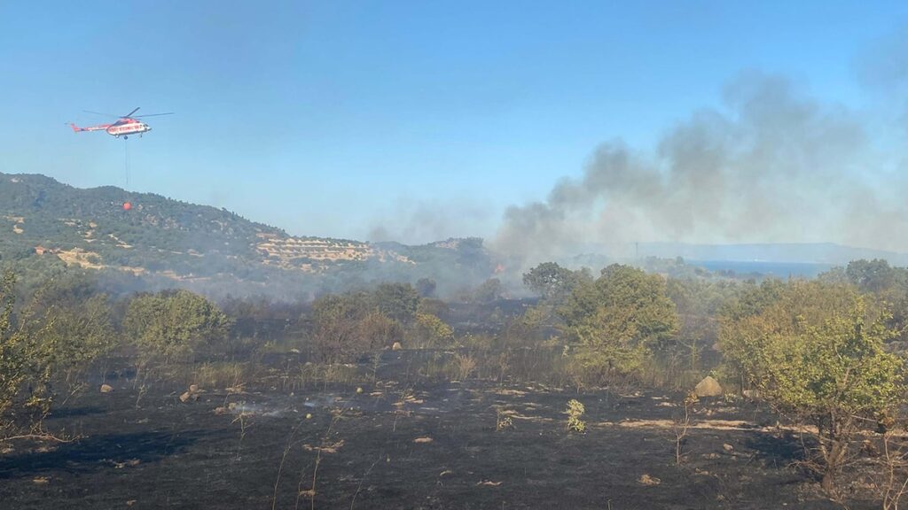 Çanakkale Ayvacık’ta orman yangını
