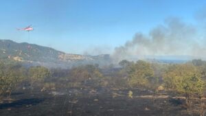 Çanakkale Ayvacık’ta orman yangını