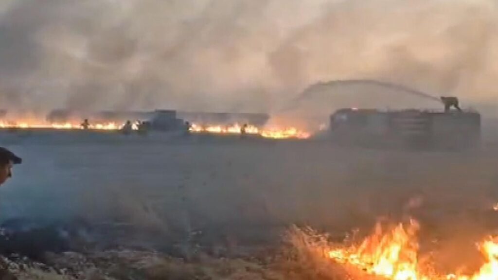 Derik’te üç ayrı noktada yangın çıktı