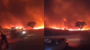 Diyarbakır’da orman yangını: 2 kişi hayatını kaybetti